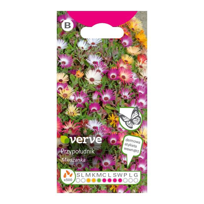 Nasiona dorotka Bellidiformis Verve