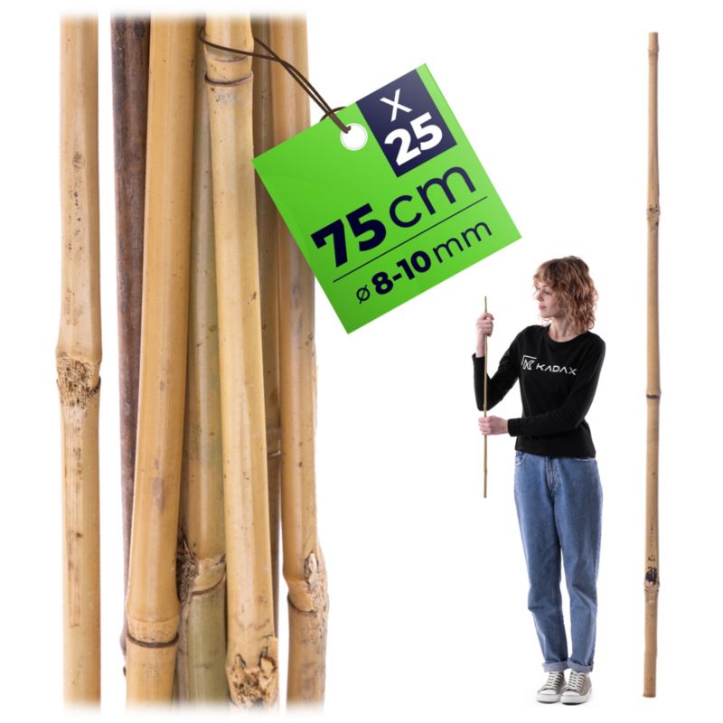 Paliki bambusowe KADAX do roślin 75 cm x 8/10 mm 25 szt.