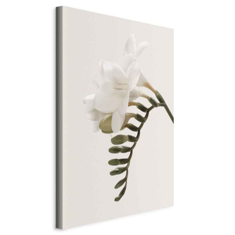 Obraz Artgeist Wiosenny pióropusz 40 x 60 cm płótno włoskie 1 szt