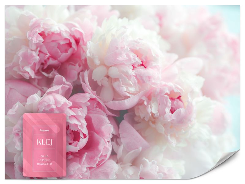 Fototapeta Muralo Piękne Piwonie 500x350 cm 1szt.