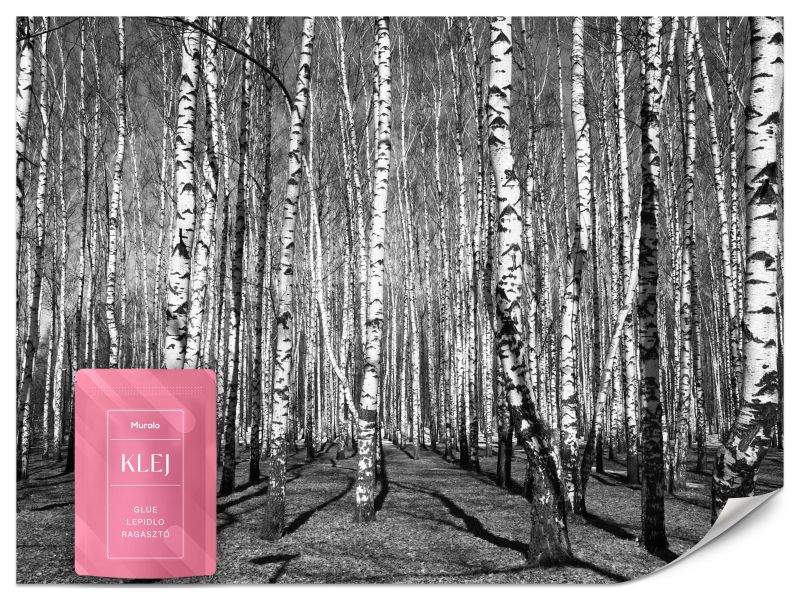 Fototapeta Muralo Las w Czarno Białych Barwach 500x350 cm 1szt.