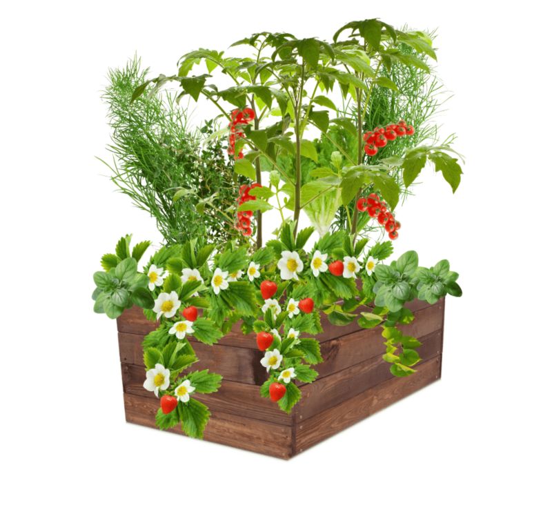 Warzywniak MODO24 grządka podwyższona brązowa impregnacja 36x103x90 cm 1 szt.