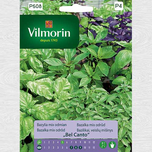 1 szt, Bazylia mix odmian Bel Canto - Nasiona: Ilość w opakowaniu: 1 g