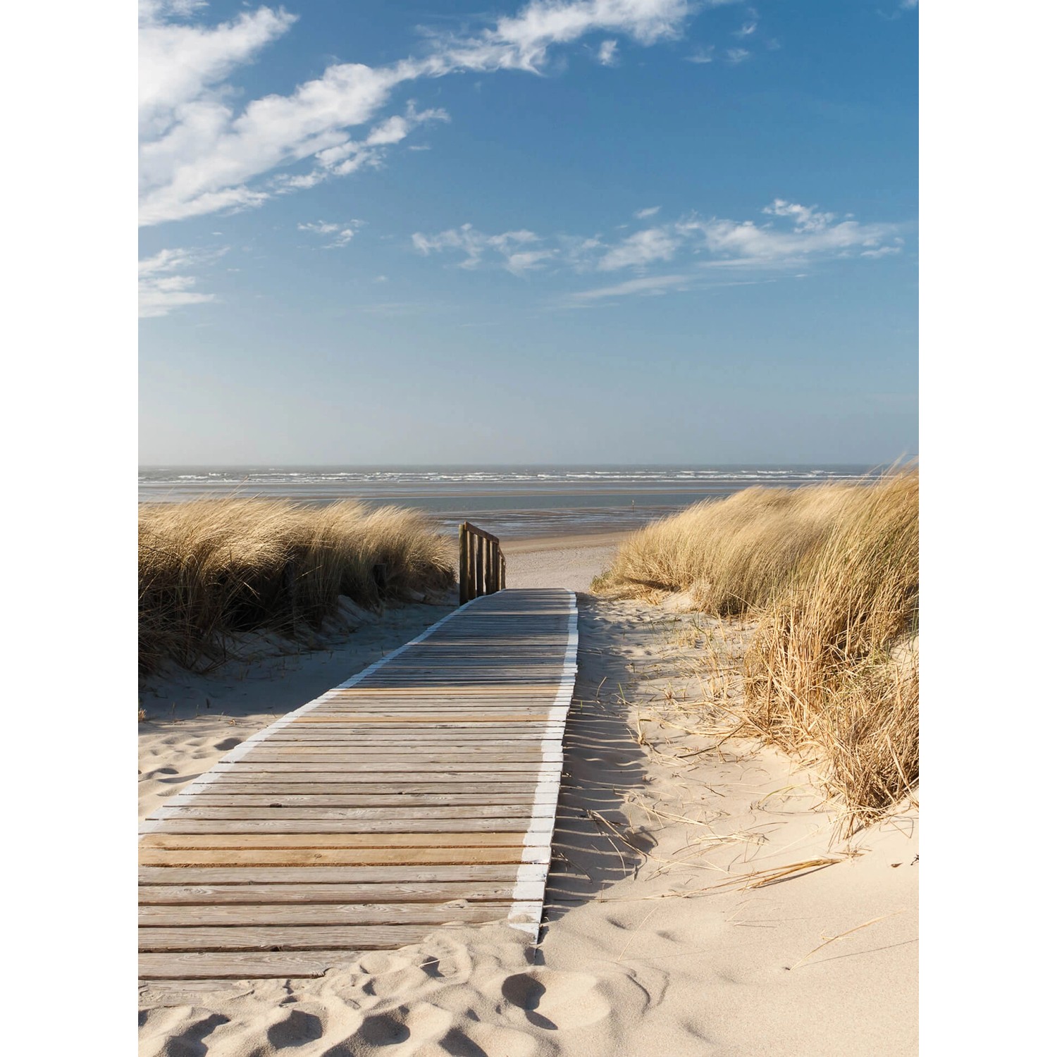 Fototapeta On the Baltic Sea 192 x 260 cm