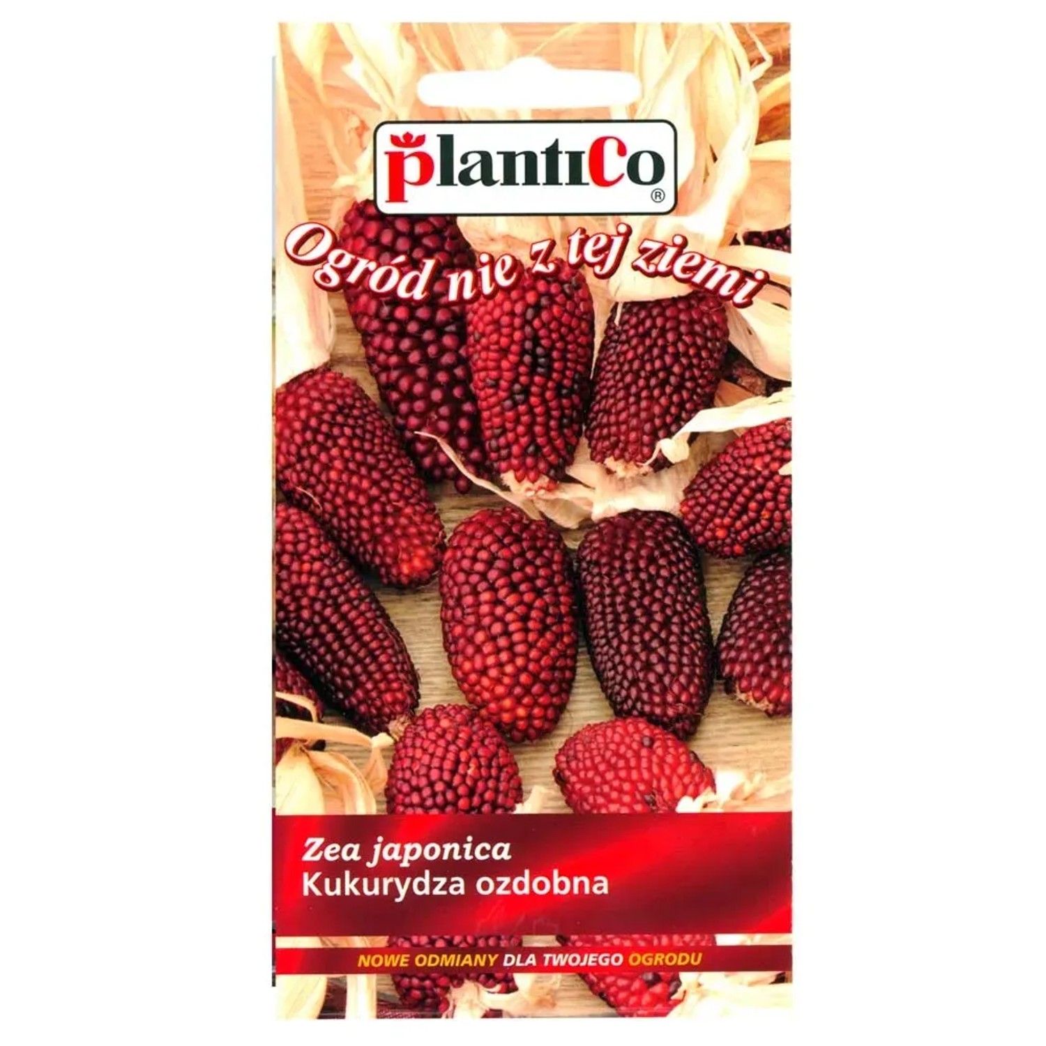 Kukurydza ozdobna truskawkow a 2g