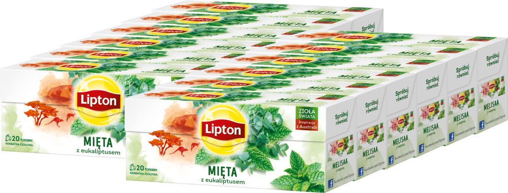 12x Herbata ziołowa w torebkach Lipton Zioła Świata, mięta z eukaliptusem, 20 sztuk x 1.3g