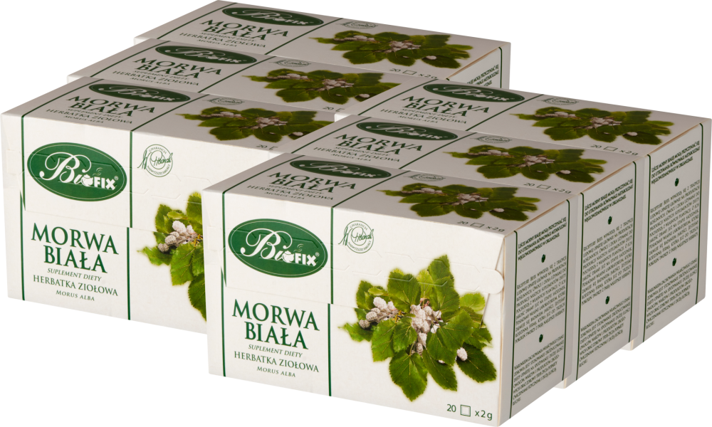 6x Herbata ziołowa w torebkach BiFix, morwa biała, 20 sztuk x 2g