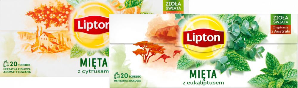 Zestaw herbat ziołowych Lipton: mięta z cytrusami, 20 sztuk x 1.3g + mięta z eukaliptusem, 20 sztuk x 1.3g