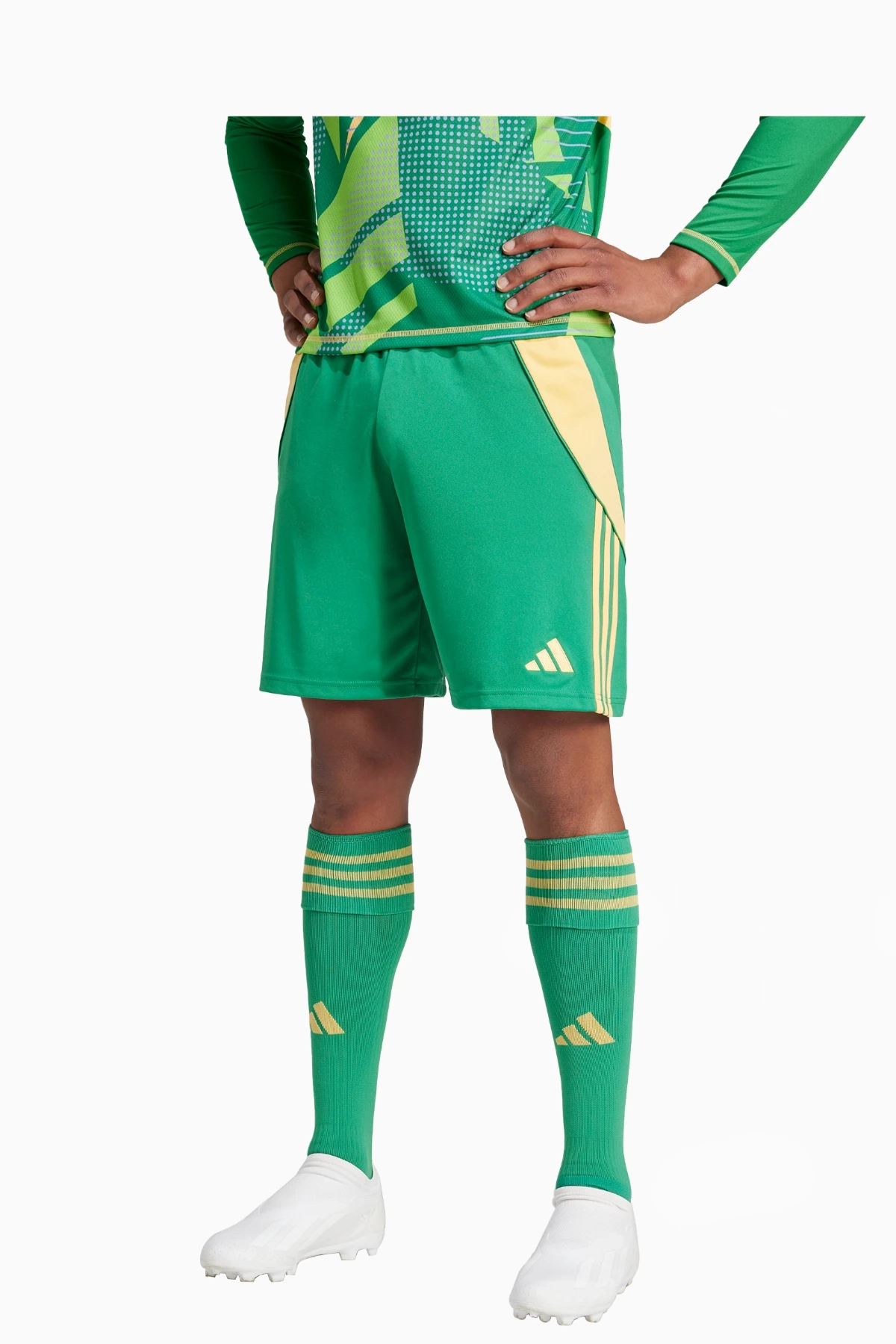 Spodenki adidas Tiro 24 Training - Zielony