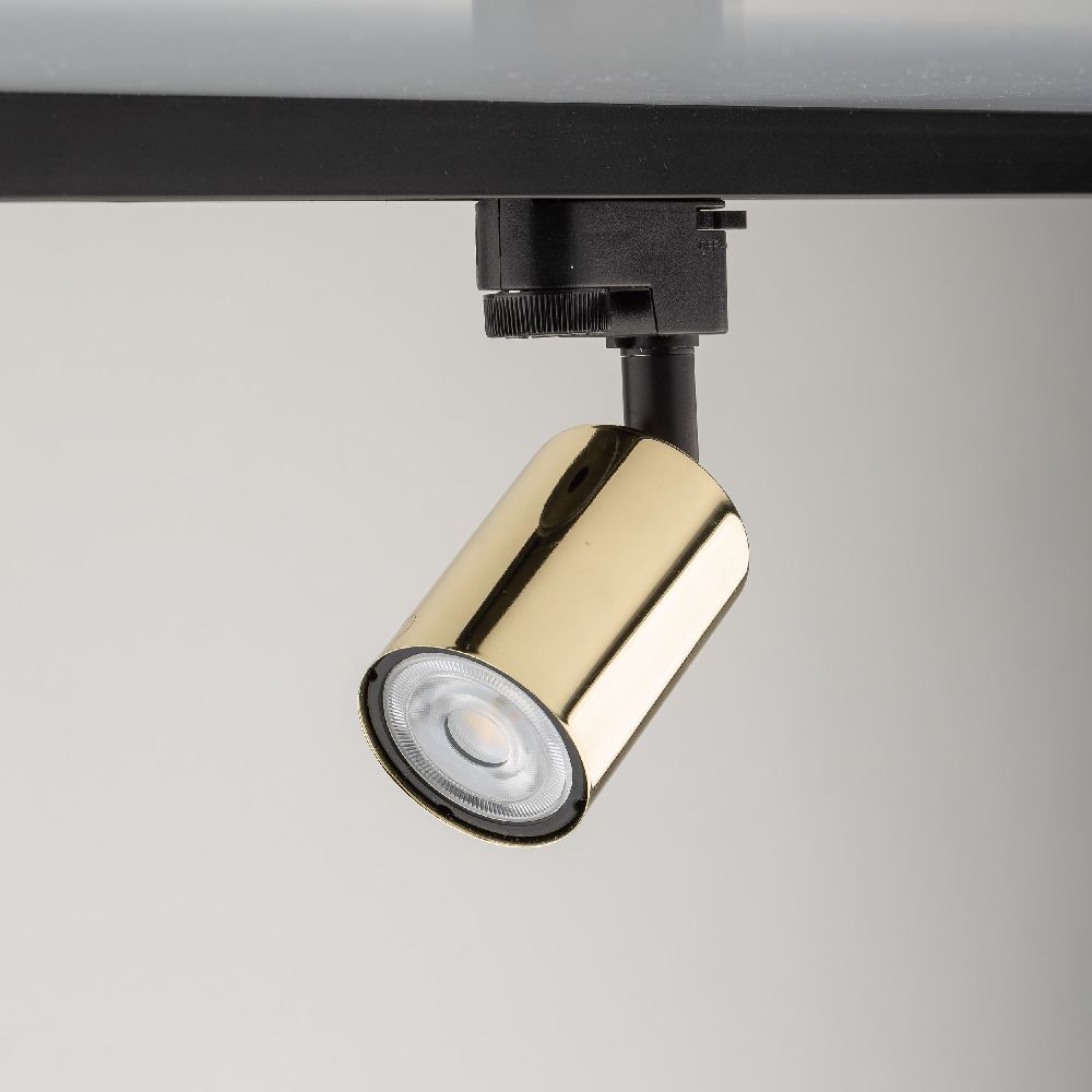 TK Lighting Tracer lampa do szynoprzewodów 1x10 W złoty 4921