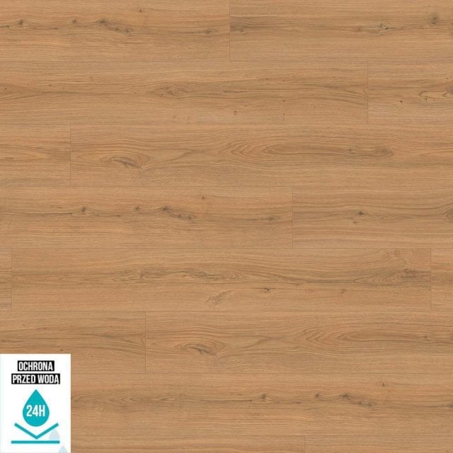 Panele podłogowe EGGER CLASSIC AP 8/33 EL2172 DĄB PADUA MIODOWY AC5 8