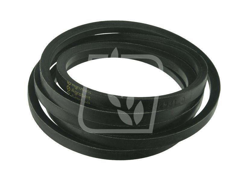 Pas 802931 17x3150 Agrobelt