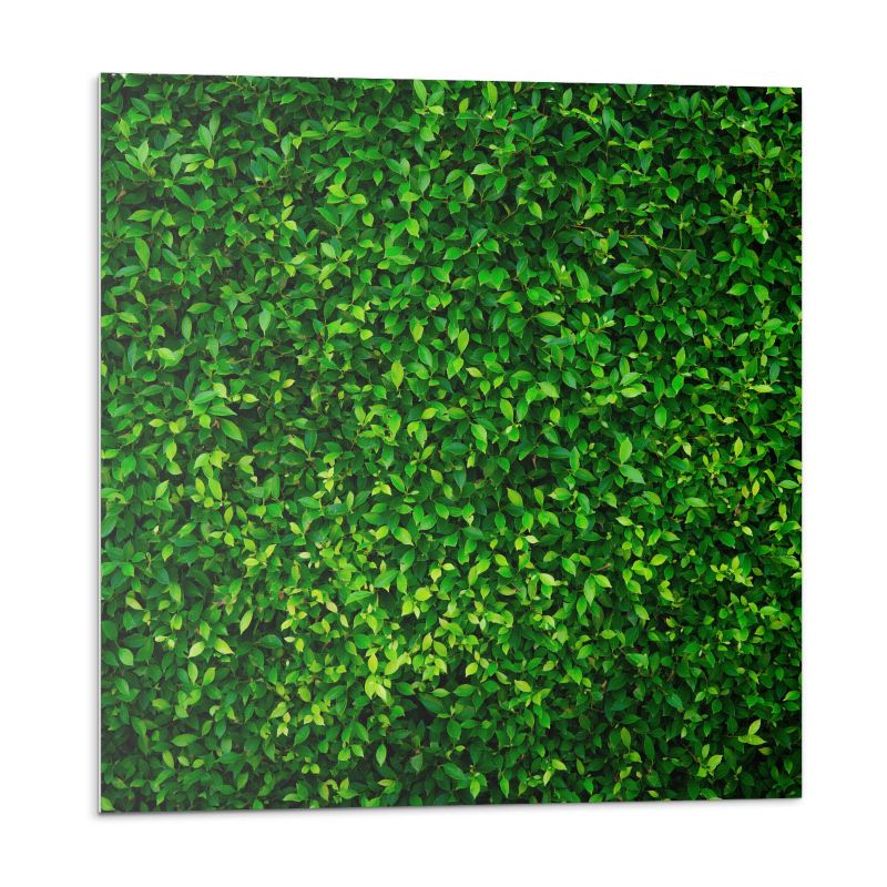 Kafelki samoprzylepne Wallfluent 30x30 cm Liściasta gęstwina 9 szt.