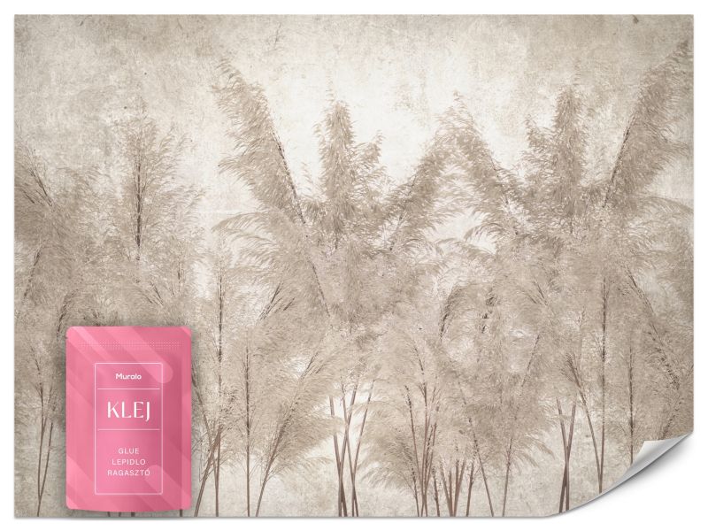 Fototapeta Muralo Trawy Pampasowe 150x105 cm 1szt.