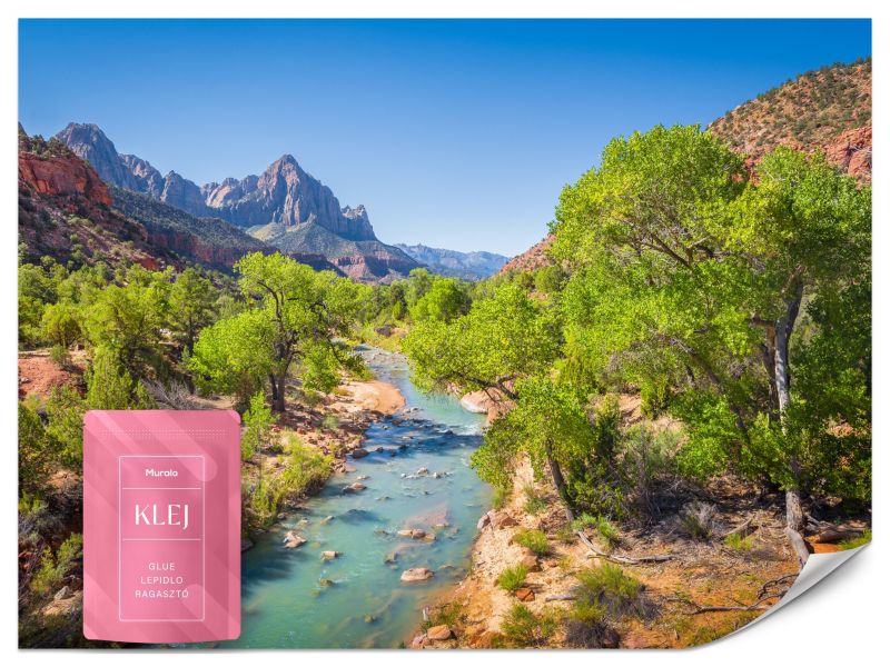 Fototapeta Muralo Rzeka Virgin Krajobraz 350x256 cm 1szt.