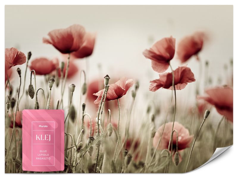 Fototapeta Muralo Delikatne Czerwone Maki 100x70 cm 1szt.