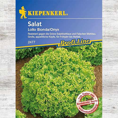 1 szt, Sałata liściasta Lollo Bionda Onyx - Nasiona: Ilość w opakowaniu: 1 opak
