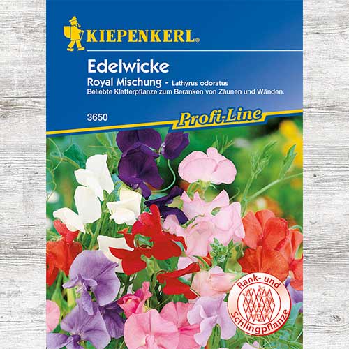 1 szt, Groszek pachnący Royal, mieszanka - Nasiona: Ilość w opakowaniu: 1 opak