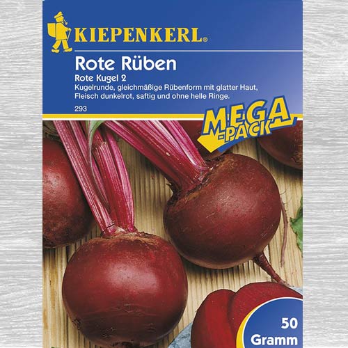 1 szt, Burak ćwikłowy Rote Kugel - Nasiona: Ilość w opakowaniu: 1 opak
