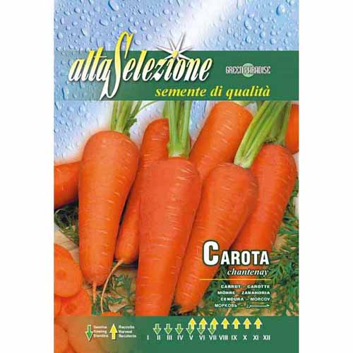 1 szt, Répa Chantenay - Magok: Mod de ambalare: 1 db