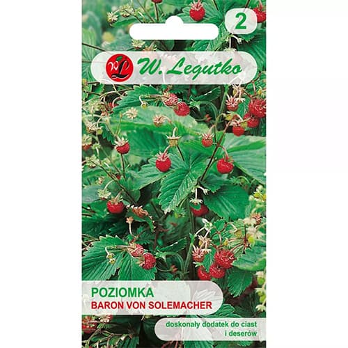 1 szt, Erdei szamóca Baron von Solemacher - Magok: Mod de ambalare: 0.2 g