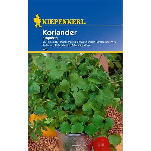 1 szt, Koriander Einjährig - Samen: Ilość w opakowaniu: 1 Stück