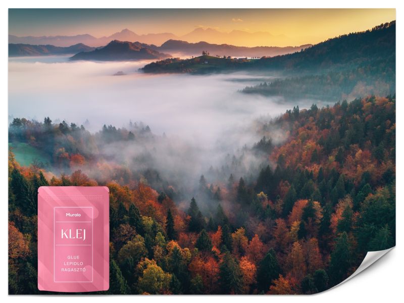 Fototapeta Muralo Las we Mgle Natura 500x350 cm 1szt.