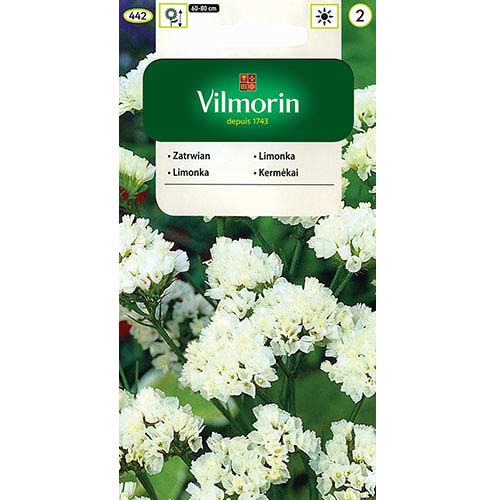 1 szt, Zatrwian wrębny biały Vilmorin - Nasiona: Ilość w opakowaniu: 0.2 g