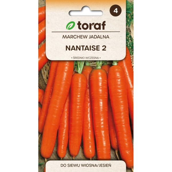 Nasiona Marchew Jadalna Nantaise 2 5g
