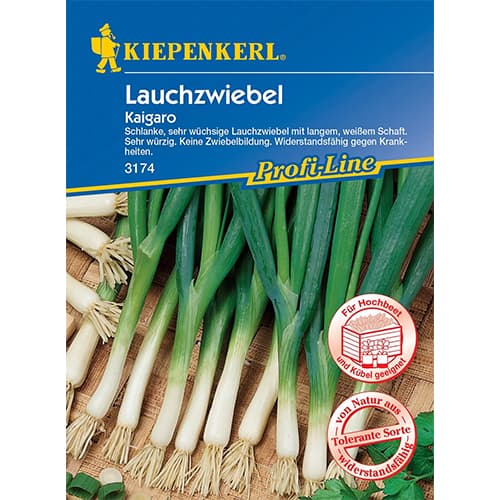 1 szt, Bundzwiebel Kaigaro - Samen: Ilość w opakowaniu: 1 Stück