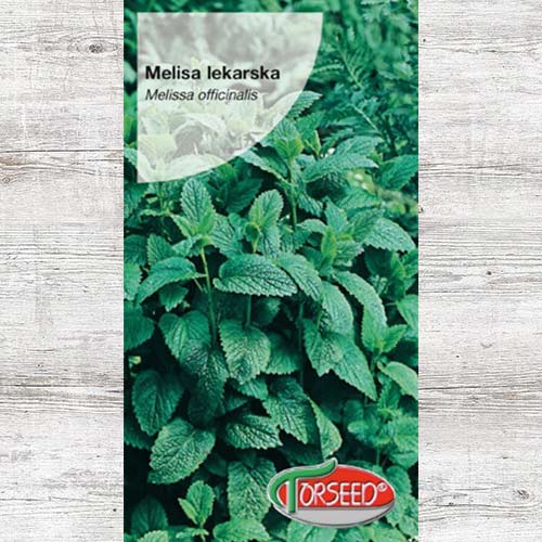 1 szt, Nasiona Melisa lekarska - Nasiona: Ilość w opakowaniu: 0.2 g