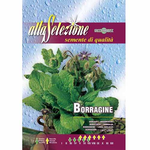 1 szt, Ogórecznik lekarski Morami Morami - Nasiona: Ilość w opakowaniu: 2.5 g