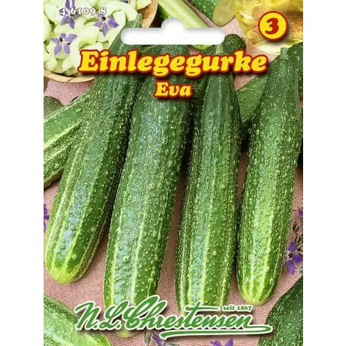 1 szt, Einlegegurke Eva - Samen: Ilość w opakowaniu: 1 Stück