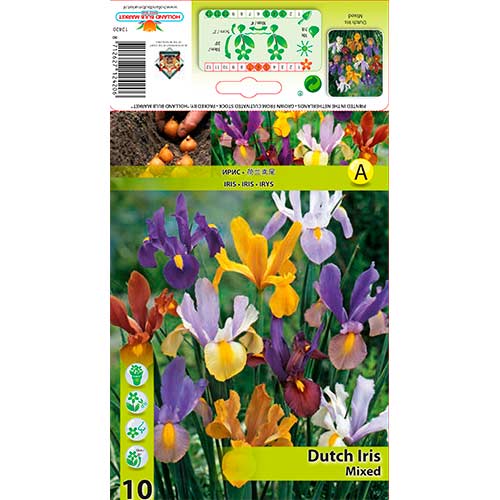 10 Stück, Holländische Schwertlilie, Farbmischung - Zwiebeln: Ilość w opakowaniu: 10 Stück