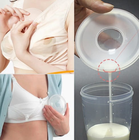 Muszle zbierające pokarm