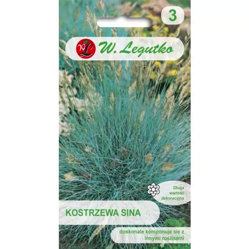 1 szt, Kostrzewa sina - Nasiona: Ilość w opakowaniu: 0.2 g