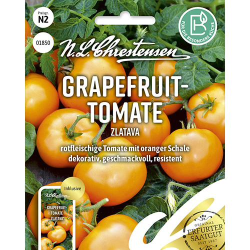 1 szt, Pomidor gruntowy Zlatava Chrestensen - Nasiona: Ilość w opakowaniu: 1 opak