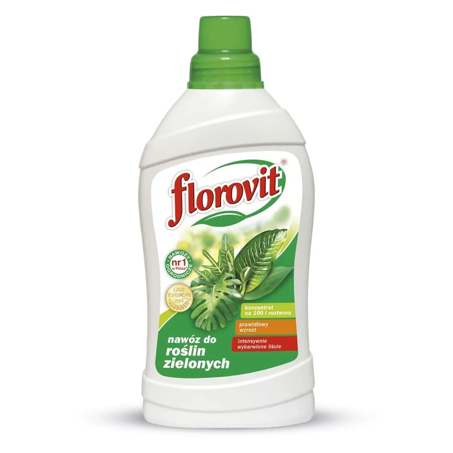 Florovit Nawóz do roślin zielonych 1 kg.