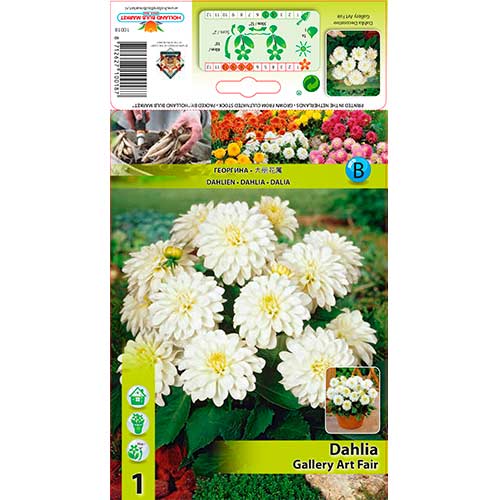 1 cib, Jiřina Gallery Art Fairy - : Monžstvo balíkov: 1 cib