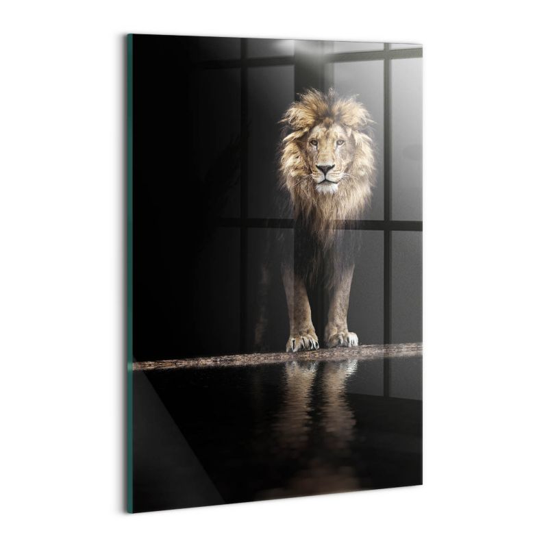 Foto Obraz Ścienny Szklany Wallfluent 30x20 cm Samotne zwierzę dziki lew 1 szt.