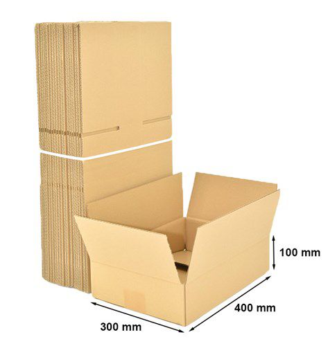 Karton Klapowy NEOPAK B360 400x300x100mm 50 szt.