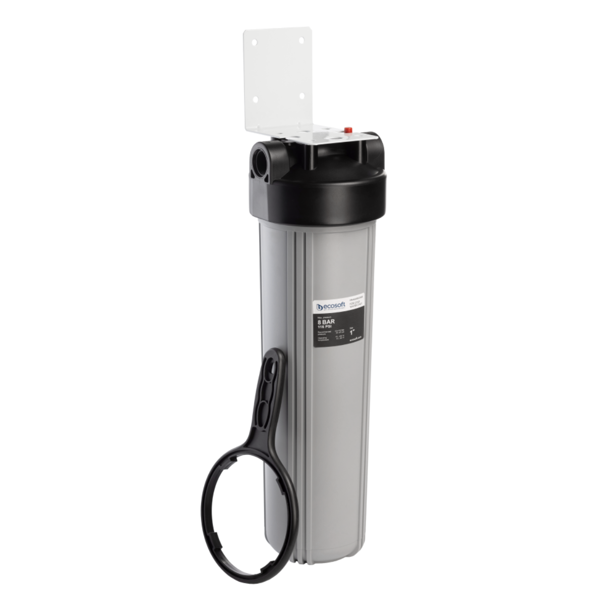 Ecosoft filtr wstępny BB20 na cały dom.
