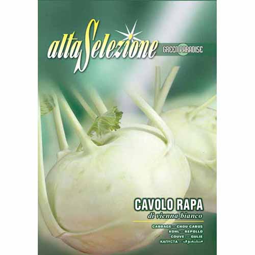 1 szt, Kalarepa di Vienna Bianco Morami - Nasiona: Ilość w opakowaniu: 6 g