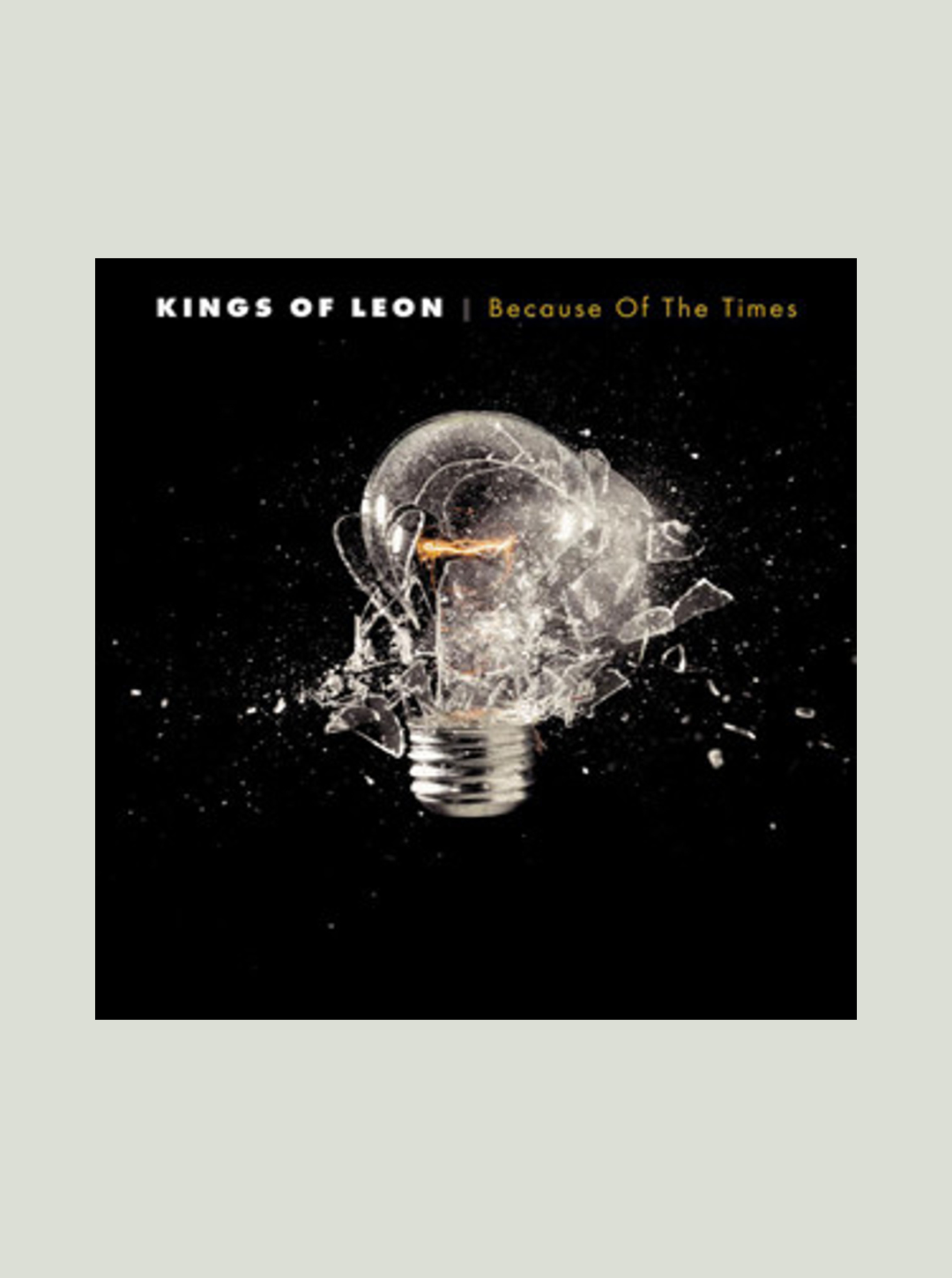Płyta winylowa Kings Of Leon - Because Of The Times (180g)