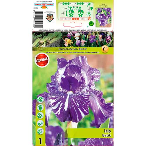 1 db, Nőszirom (Iris germanica) Batik - Évelő: Mod de ambalare: 1 db