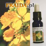 Gorczyca polna - Zaufanie