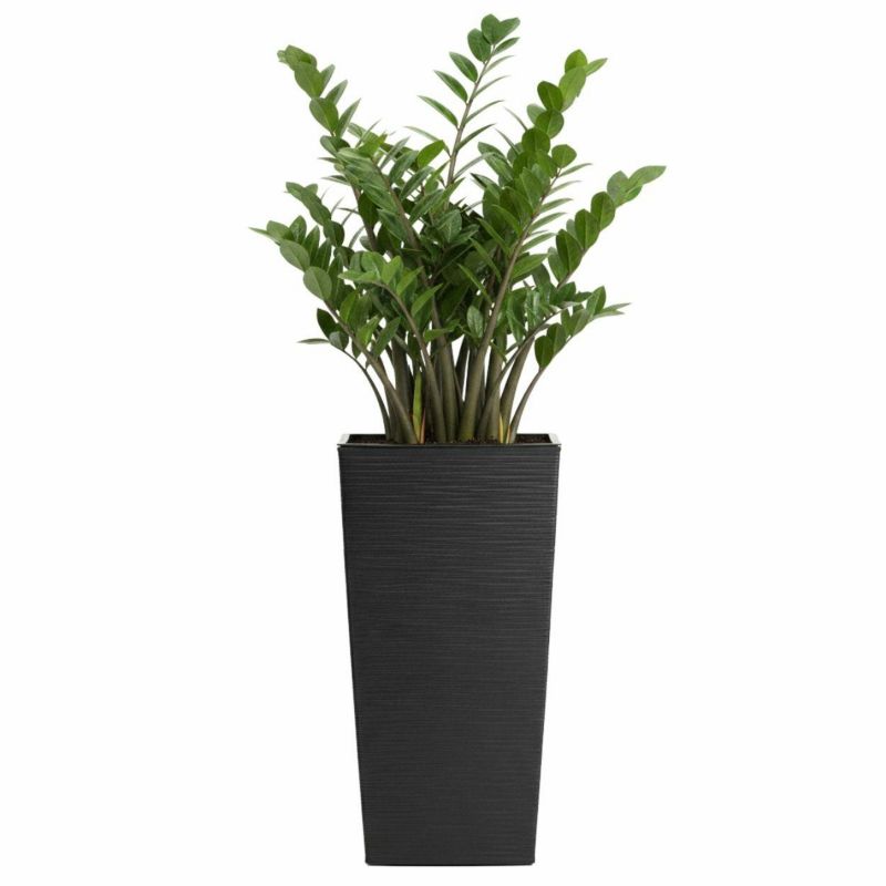 Doniczka ogrodowa Porto Riflo HowHomely czarna z wkładem h46,5x24,7x24,7 cm 1 szt.