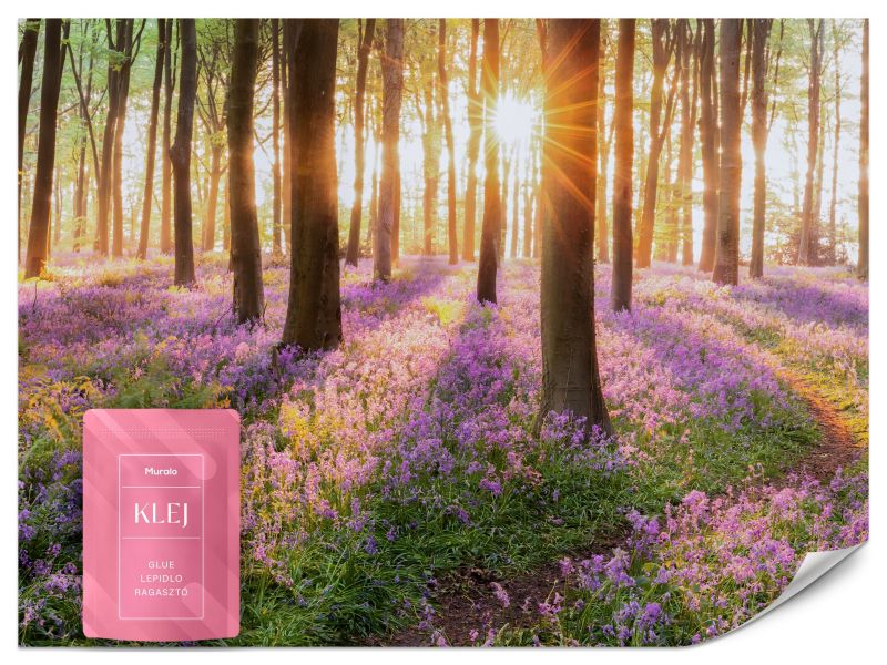 Fototapeta Muralo Wschód Słońca w Kolorowym Lesie 300x210 cm 1szt.