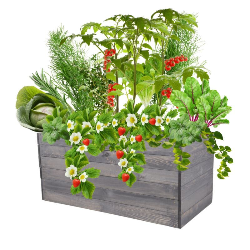 Donica na warzywa MODO24 grządka szara impregnacja 54x120x80 cm 1 szt.