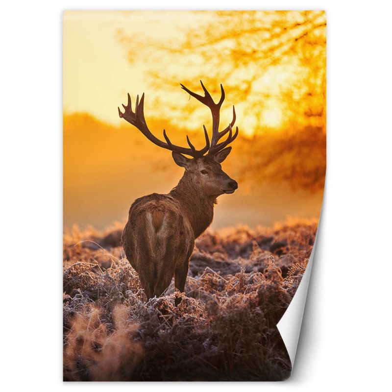 Fototapeta Feeby Jeleń o zachodzie słońca 100x140 1 szt